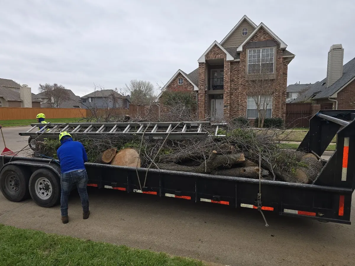 Expert Tree Fertilization with proper safety equipment in Ironside